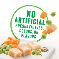 Purina Beneful High Protein Real Chicken Gravy Wet Dog Food 10 oz Tub EasyOptionXY LLC