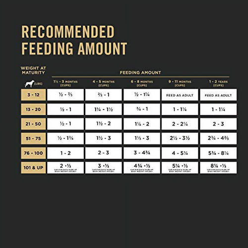 Purina Pro Plan Small Breed for Adult Dogs Chicken Rice 6 lb Bag EasyOptionXY LLC