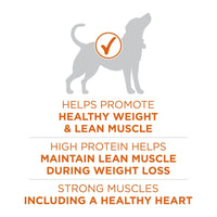 Purina ONE Plus Healthy Weight Dog Food Dry Formula EasyOptionXY LLC