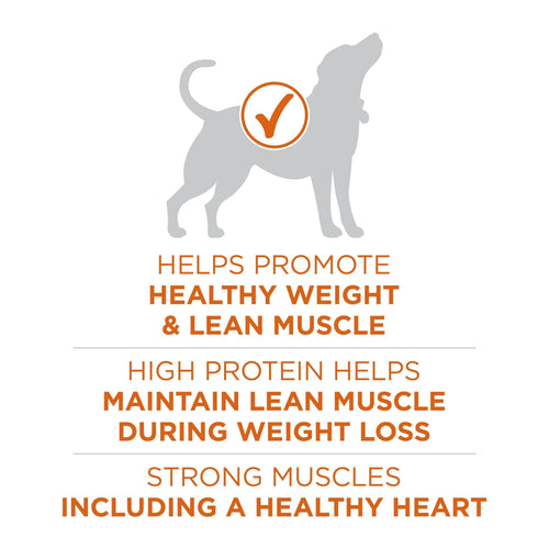 Purina ONE Plus Healthy Weight Dog Food Dry Formula EasyOptionXY LLC