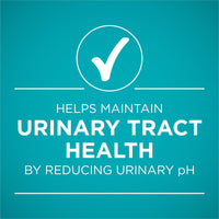 Purina ONE Urinary Tract Health Beef & Liver Natural Pate Wet Cat Food 3 oz Can EasyOptionXY LLC