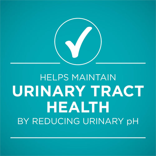 Purina ONE Urinary Tract Health Beef & Liver Natural Pate Wet Cat Food 3 oz Can EasyOptionXY LLC