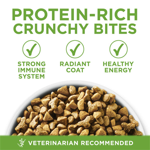 Purina One +Plus Indoor Advantage Dry Cat Food Turkey 22 lb Bag EasyOptionXY LLC