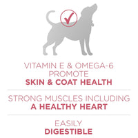 Purina One +Plus Dry Dog Food Skin and Coat Formula 31.1 lb Bag EasyOptionXY LLC