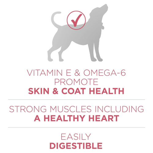 Purina One +Plus Dry Dog Food Skin and Coat Formula 31.1 lb Bag EasyOptionXY LLC