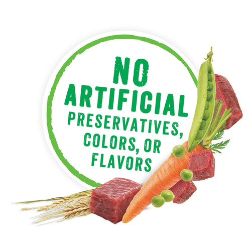 Purina Beneful High Protein Chicken & Beef Stew Wet Dog Food 10 oz Tub EasyOptionXY LLC