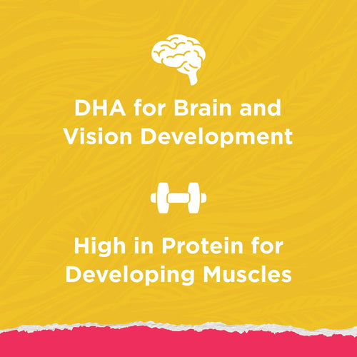 Purina Kitten Chow Naturals Savory & Real Chicken Dry Cat Food 6.3 lb Bag EasyOptionXY LLC