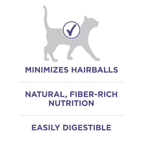Purina One +Plus Hairball Formula Chicken Dry Cat Food 16 lb Bag EasyOptionXY LLC
