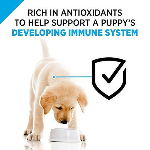 Purina Pro Plan Puppy Dry Dog Food for Puppies Chicken Rice 6 lb Bag EasyOptionXY LLC