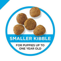 Purina Pro Plan Puppy Dry Dog Food for Puppies Chicken Rice 6 lb Bag EasyOptionXY LLC