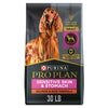 Purina Pro Plan Sensitive Skin and Sensitive Stomach Dog Food Salmon and Rice Formula EasyOptionXY LLC