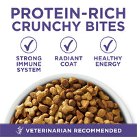 Purina One +Plus Helps Minimize Hairballs Dry Cat Food 22 lb Bag EasyOptionXY LLC