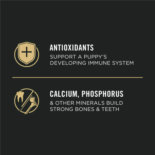 Purina Pro Plan Chicken and Rice Dry Dog Food for Puppies 34 lb Bag EasyOptionXY LLC