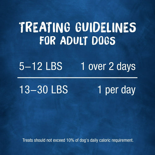 Purina Busy Tiny Real Bacon Long Lasting Chew for Dogs 17 oz Pouch EasyOptionXY LLC