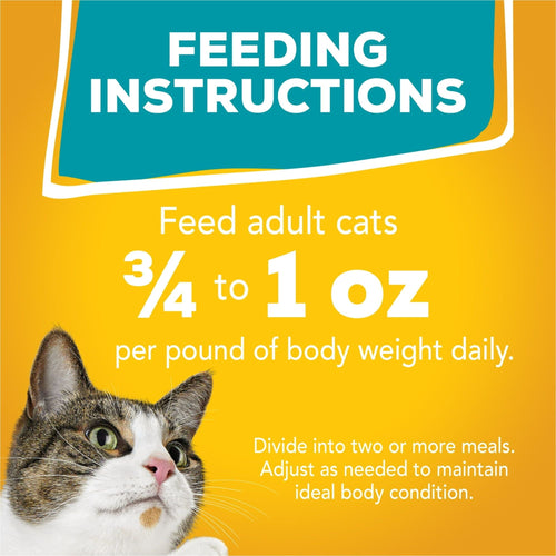 Purina Friskies Tasty Treasures Wet Cat Food Variety Pack 5.5 oz Cans (12 Pack) EasyOptionXY LLC