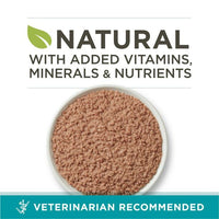 Purina ONE Chicken Recipe Natural Pate Wet Cat Food 3 oz Can EasyOptionXY LLC