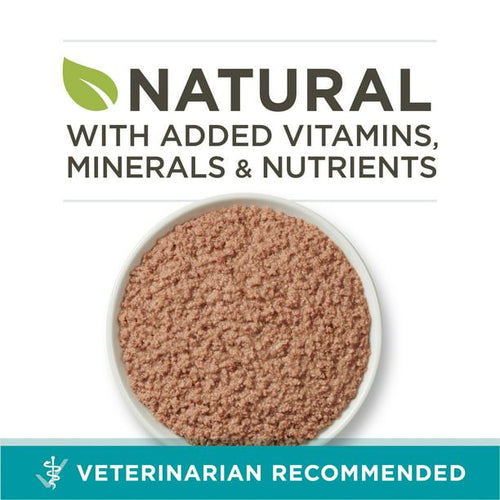 Purina ONE Chicken Recipe Natural Pate Wet Cat Food 3 oz Can EasyOptionXY LLC