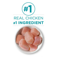 Purina ONE Chicken Recipe Natural Pate Wet Cat Food 3 oz Can EasyOptionXY LLC