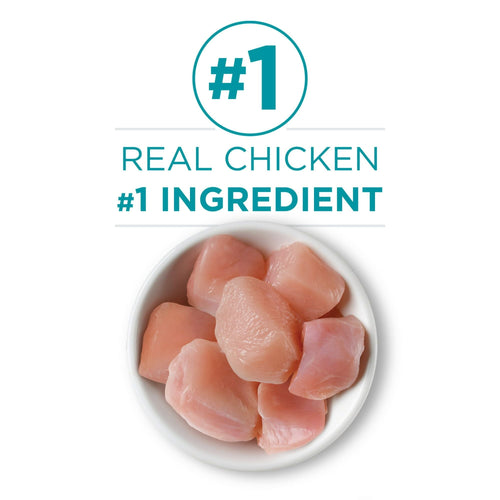 Purina ONE Chicken Recipe Natural Pate Wet Cat Food 3 oz Can EasyOptionXY LLC