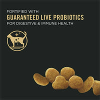 Purina Pro Plan Dry Kitten Food for Kittens Chicken Rice Dry Cat Food, 16 lb Bag EasyOptionXY LLC