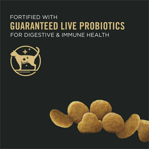 Purina Pro Plan Dry Kitten Food for Kittens Chicken Rice Dry Cat Food, 16 lb Bag EasyOptionXY LLC