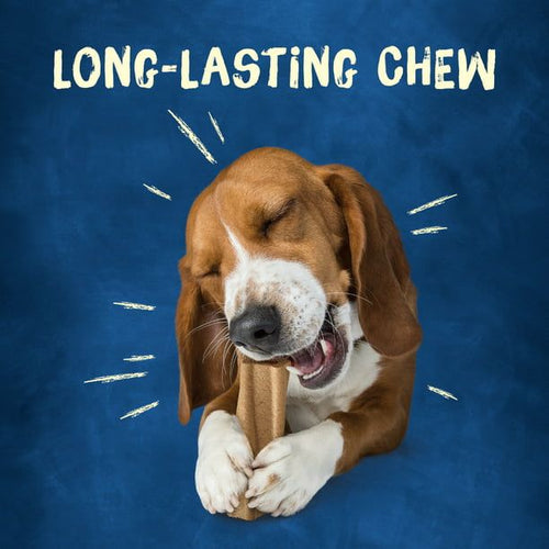 Purina Busy Original Long Lasting Chew for Dogs, 35 oz Pouch EasyOptionXY LLC