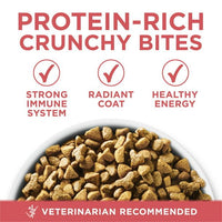 Purina One +Plus Indoor Advantage Salmon Dry Cat Food, 3.5 lb Bag EasyOptionXY LLC