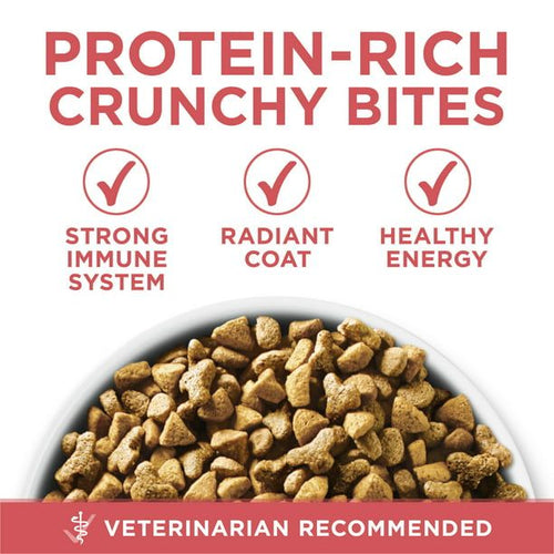 Purina One +Plus Indoor Advantage Salmon Dry Cat Food, 3.5 lb Bag EasyOptionXY LLC