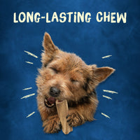 Purina Busy Long Lasting Chews for Dogs, 21 oz Pouch EasyOptionXY LLC