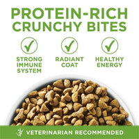 Purina One +Plus indoor Advantage Dry Cat Food Turkey, 7 lb Bag EasyOptionXY LLC