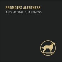 Purina Pro Plan Bright Mind for Adult Dogs Variety Pack Turkey, 10 oz Tubs (8 Pack) EasyOptionXY LLC