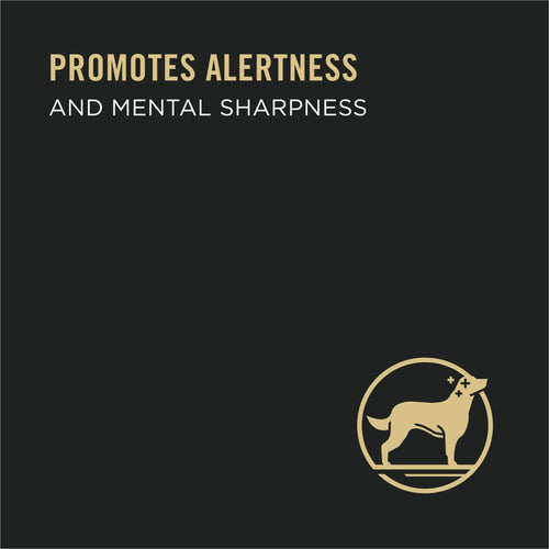 Purina Pro Plan Bright Mind for Adult Dogs Variety Pack Turkey, 10 oz Tubs (8 Pack) EasyOptionXY LLC