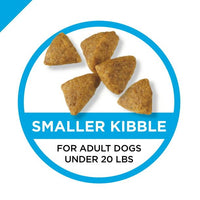 Purina Pro Plan Chicken Rice High Protein for Adult Dogs, 6 lb Bag EasyOptionXY LLC