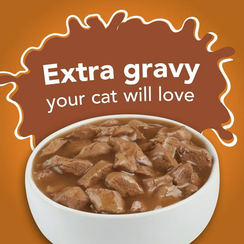 Purina Friskies Extra Gravy Chunky Wet Cat Food Variety Pack, 5.5 oz Cans (24 Pack) EasyOptionXY LLC