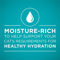 Purina One True instinct Wet Cat Food Chicken, 3 oz Cans (24 Pack) EasyOptionXY LLC