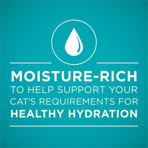 Purina One True instinct Wet Cat Food Chicken, 3 oz Cans (24 Pack) EasyOptionXY LLC