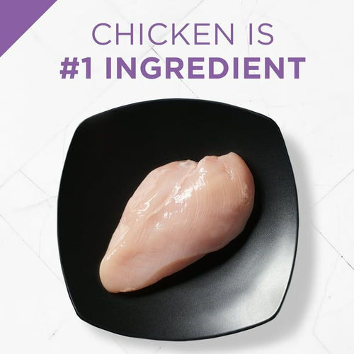 Purina Pro Plan Dry Dog Food, SPORT Active 26/16 Formula, 37.5 lb. Bag EasyOptionXY LLC