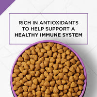 Purina Pro Plan Dry Dog Food, SPORT Active 26/16 Formula, 37.5 lb. Bag EasyOptionXY LLC