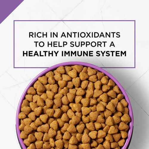 Purina Pro Plan Dry Dog Food, SPORT Active 26/16 Formula, 37.5 lb. Bag EasyOptionXY LLC