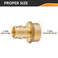 PEX A Full Flow Expansion 1" PEX x 1" Female Threaded F1960 Adapter (Lead Free) Plumbingsell