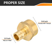 PEX A Expansion 1/2" PEX x 3/4" Female Threaded F1960 Adapter (Lead Free) Plumbingsell