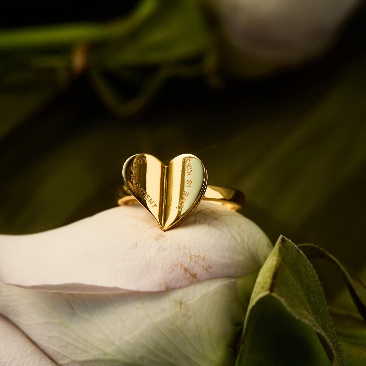 Chapters of Love Engraved Statement Ring