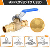 10 Pcs 3/4" PEX Expansion Ball Valve, Blue (Lead Free)