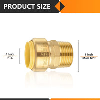 1" x 1" M Push Fit Male Adapter