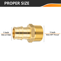 PEX A Full Flow Expansion Adapter 1" PEX x 1" Male Threaded F1960 Adapter (Lead Free) Plumbingsell