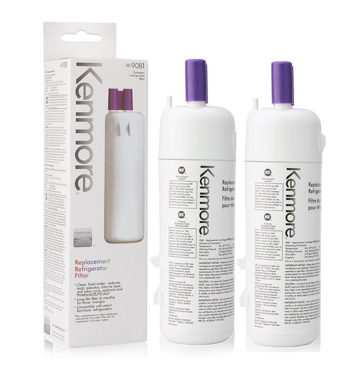 FILTERLO Kenmore Replacement Refrigerator Filter 9081 Cartridge P8RFKB2L |