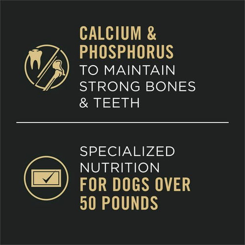 Purina Pro Plan Chunks in Gravy Wet Dog Food for Adult Dogs Chicken, 13 oz Cans (12 Pack) EasyOptionXY LLC