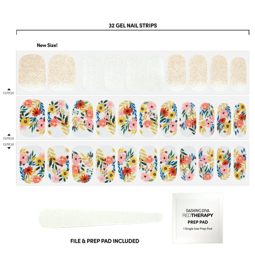 Dashing Diva Gloss Palette Wallflower Frenzy EasyOptionXY LLC