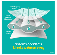 Pampers Easy Ups Training Underwear Boys Size 5 3T-4T, 22 Count EasyOptionXY LLC