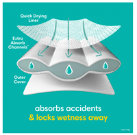 Pampers Easy Ups Training Underwear Girls Size 5 3T-4T, 22 Count EasyOptionXY LLC